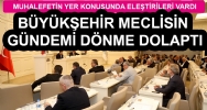df_82f7b.jpg