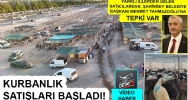 cv_ca59R.jpg